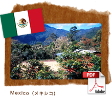 Mexico（メキシコ）
