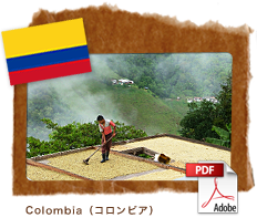 Colombia（コロンビア）