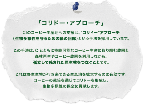 「コリドー・アプローチ」