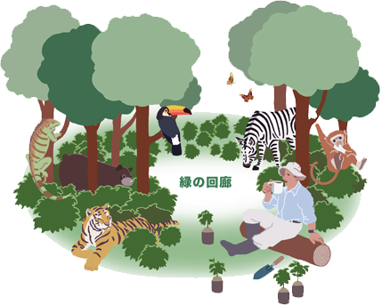 緑の回廊