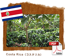 Costa Rica（コスタリカ）