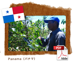 Panama（パナマ）